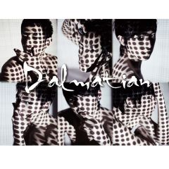 Lover Cop by Dalmatian